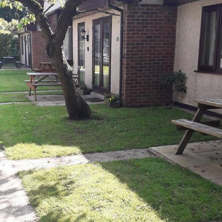 11 Trevithick Court Tolroy Manor Daire Hayle Oda fotoğraf